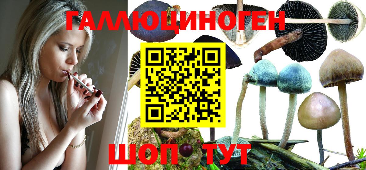 Галлюциногенные грибы ЛСД  Вход с VPN  где продают   Россия  Галлюциногенные грибы прущие грибы 
